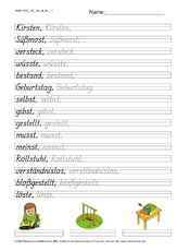 DSS_2S_Bu_st_Nr_11.pdf